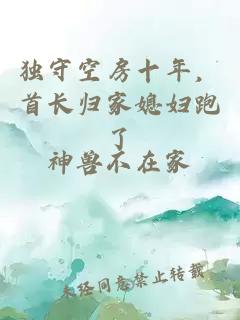 独守空房十年，首长归家媳妇跑了