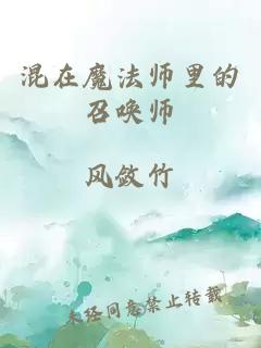 混在魔法师里的召唤师
