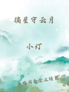 摘星守云月